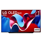 Front view with LG OLED evo TV