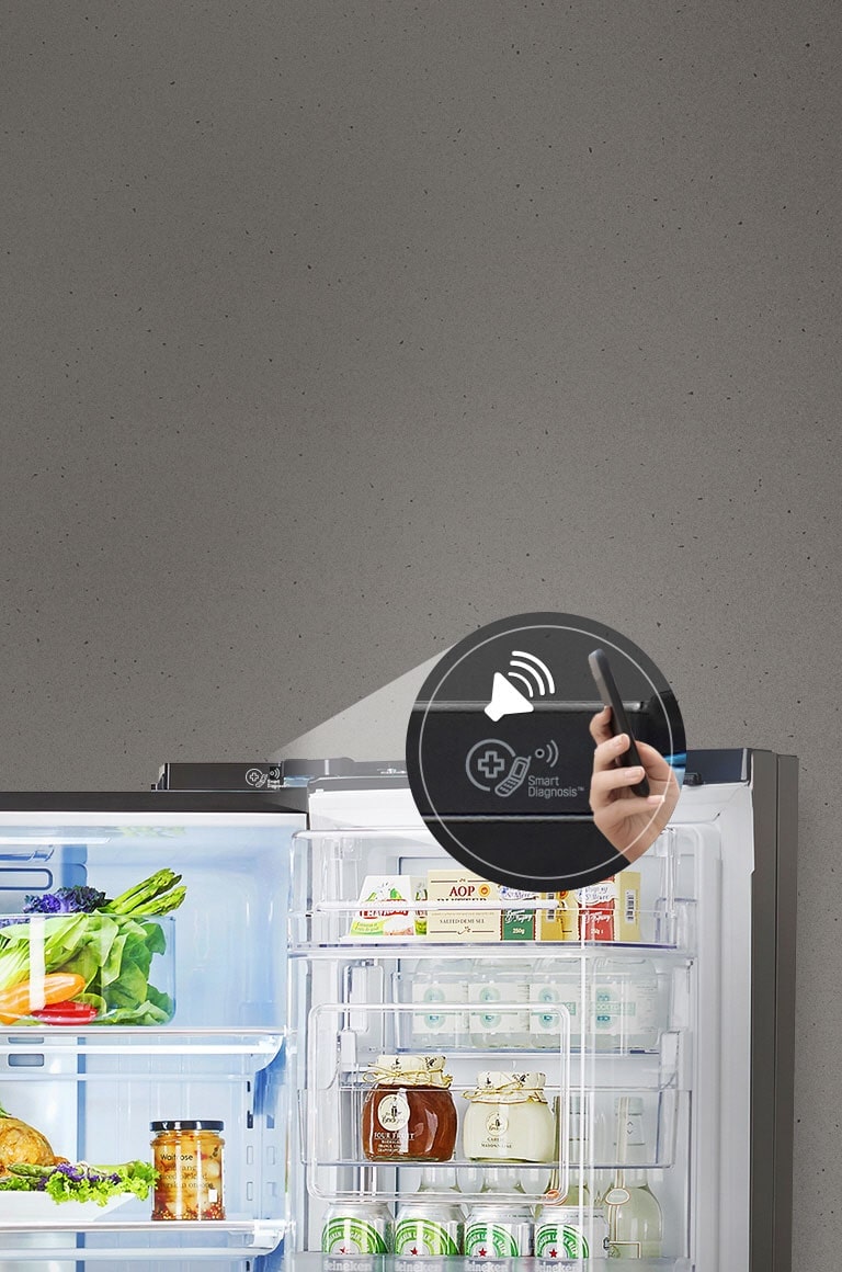 Refrigerators Smart Diagnosis