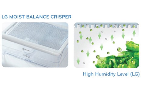 THE BENEFITS OF A MOIST BALANCE™ CRISPER