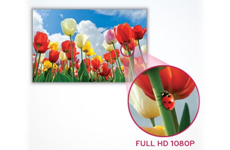 FULL HD