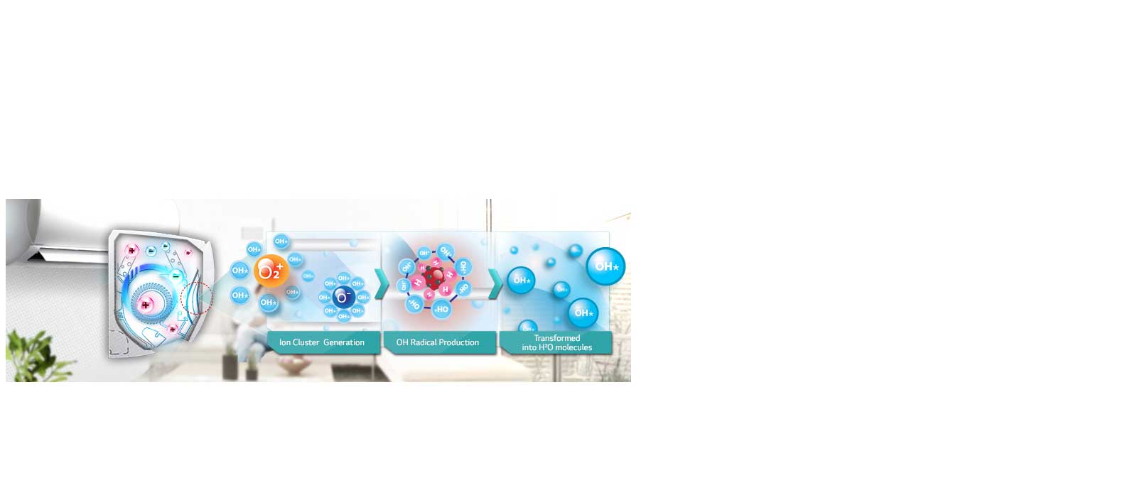 Plasmaster Auto cleaning
