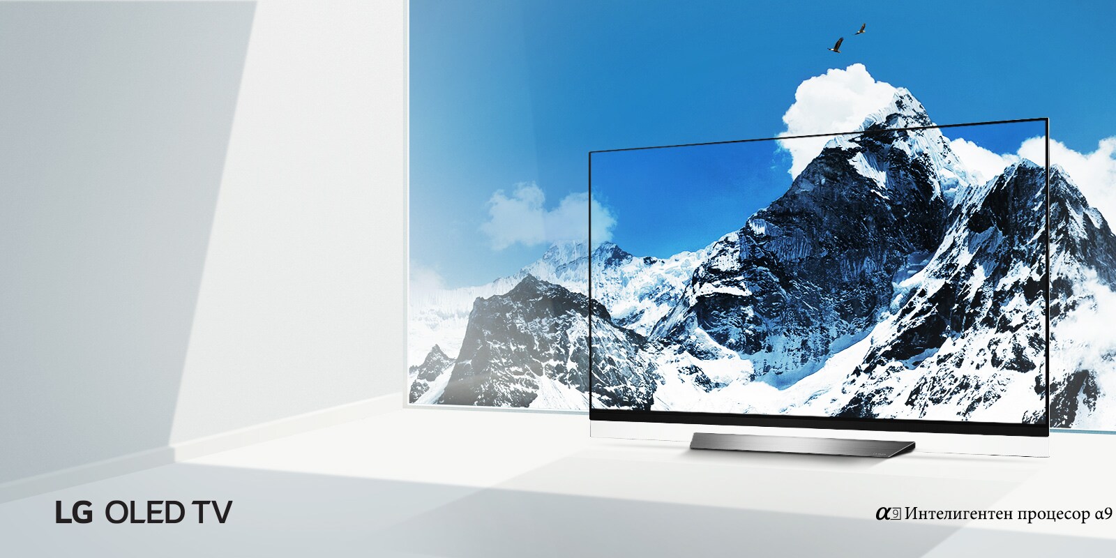 banner_Alpha9_desktop_bg