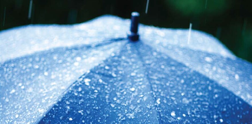 雨天的新变化