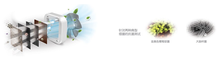 除异味 强效抗菌
