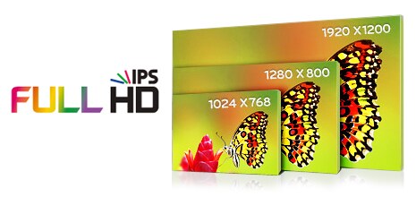 原色尽显的IPS技术