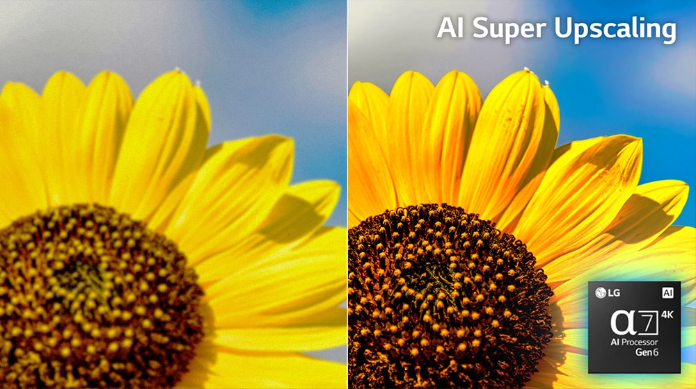 A imagem de um girassol é mostrada em duas versões numa tela dividida. A imagem direita, com AI Picture Pro ativado, aparece mais brilhante e definida.