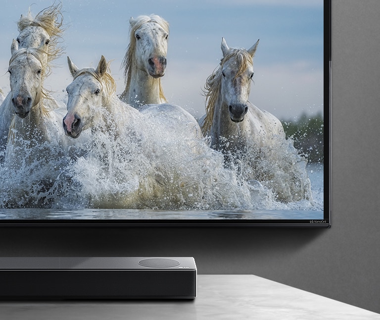 Metade inferior da tela e metade da barra de som. A TV exibe cavalos brancos correndo pela água.
