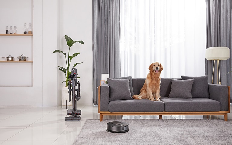 the-must-have-vacuum-for-pet-families