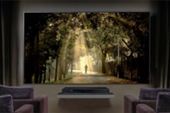Gambar Hutan di Layar TV.