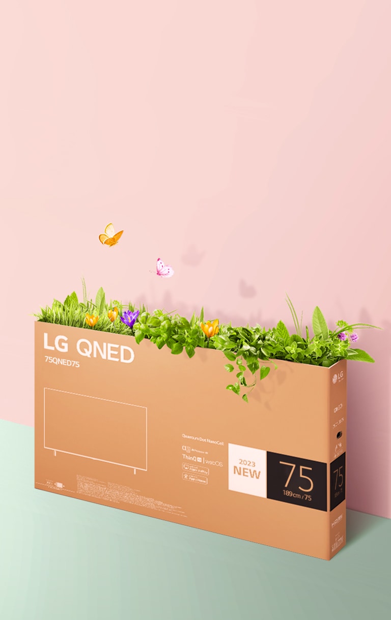 Una caja de embalaje QNED se coloca sobre fondo rosa, verde y hay hierba creciendo y mariposas que salen de su interior.