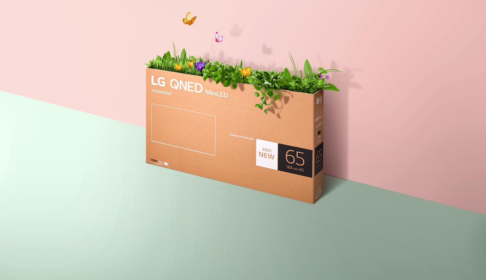 En QNED-emballagekasse er placeret på en lyserød, grøn baggrund, og der vokser græs, og sommerfugle kommer ud indefra. 