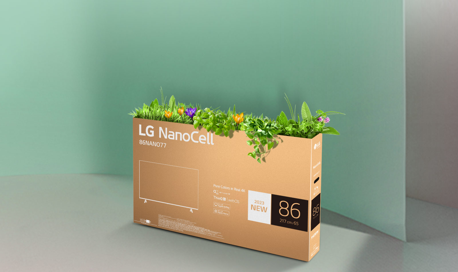 جعبه قابل بازیافت تلویزیون LG NanoCell با گل‌ها و گیاهانی که از بالای جعبه جوانه زده‌اند.