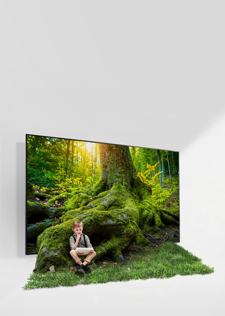 La racine d’un arbre géant sort d’un écran de téléviseur et couvre le sol d’herbe. Un enfant est assis dans l’herbe.
