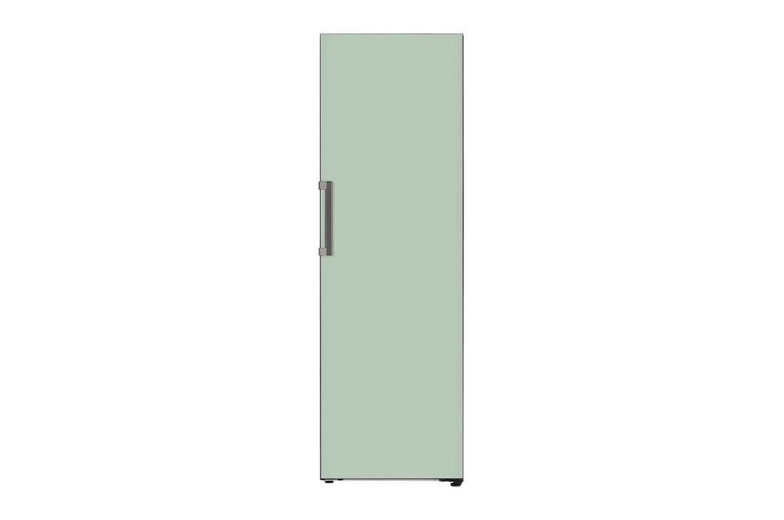 LG 384L Single Door Fridge in Mint Finish, Front View, GC-B411FGPF