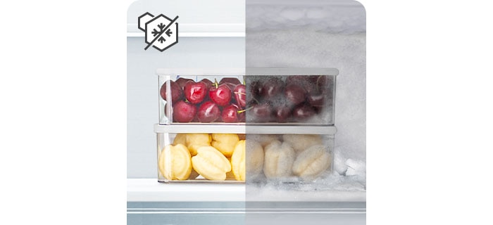 Vergelijking tussen bevoren fruitcontainers met en zonder bevriezing.
