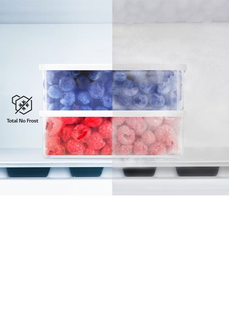 Fruktbollen inne i kjøleskapet er delt inn i to deler for å vise effekten av den kalde luften som strømmer rundt
