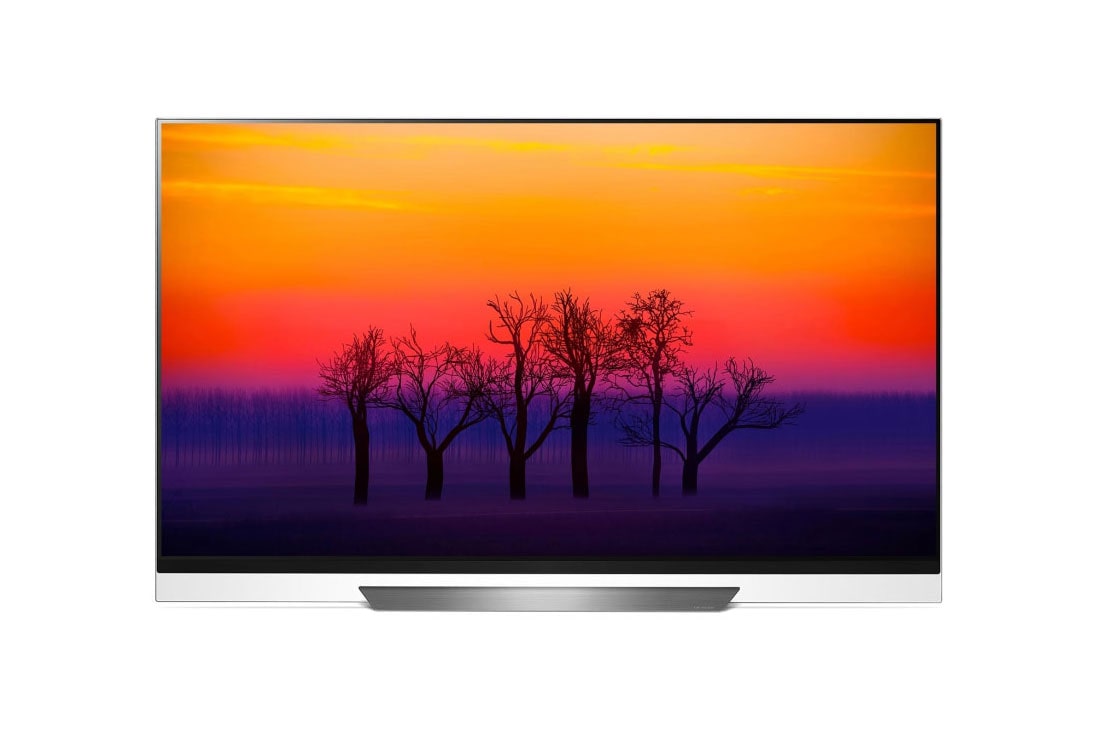LG OLED TV E8 65 inch, OLED65E8