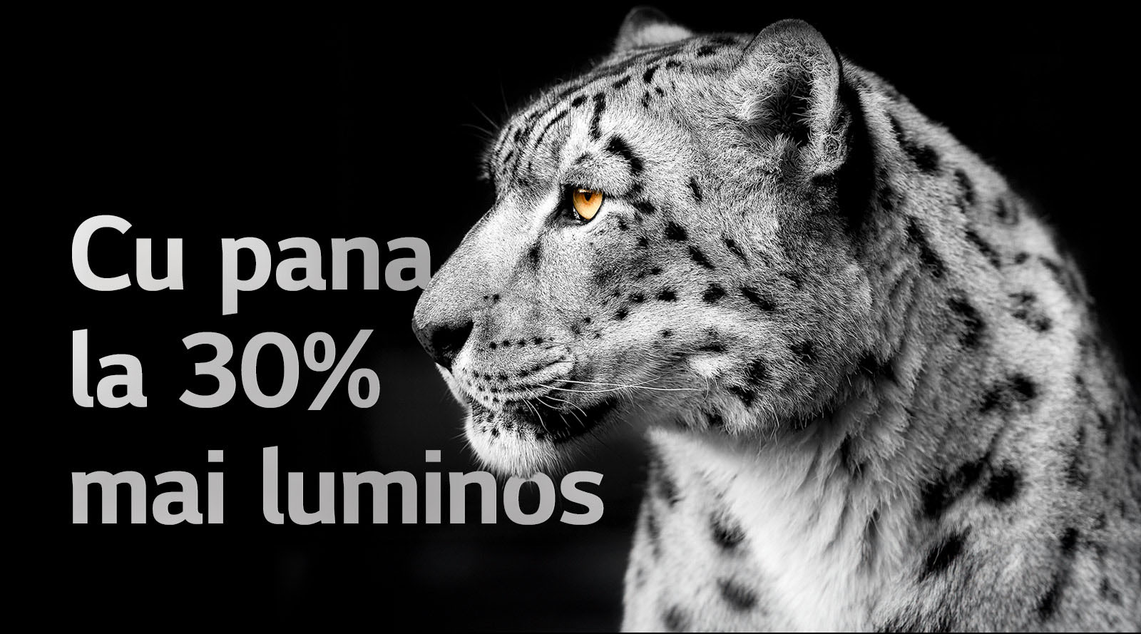 Un leopard alb care își arată fața din lateral, în partea stângă a imaginii. Cuvintele „Până la 30% mai luminos” apar în stânga.