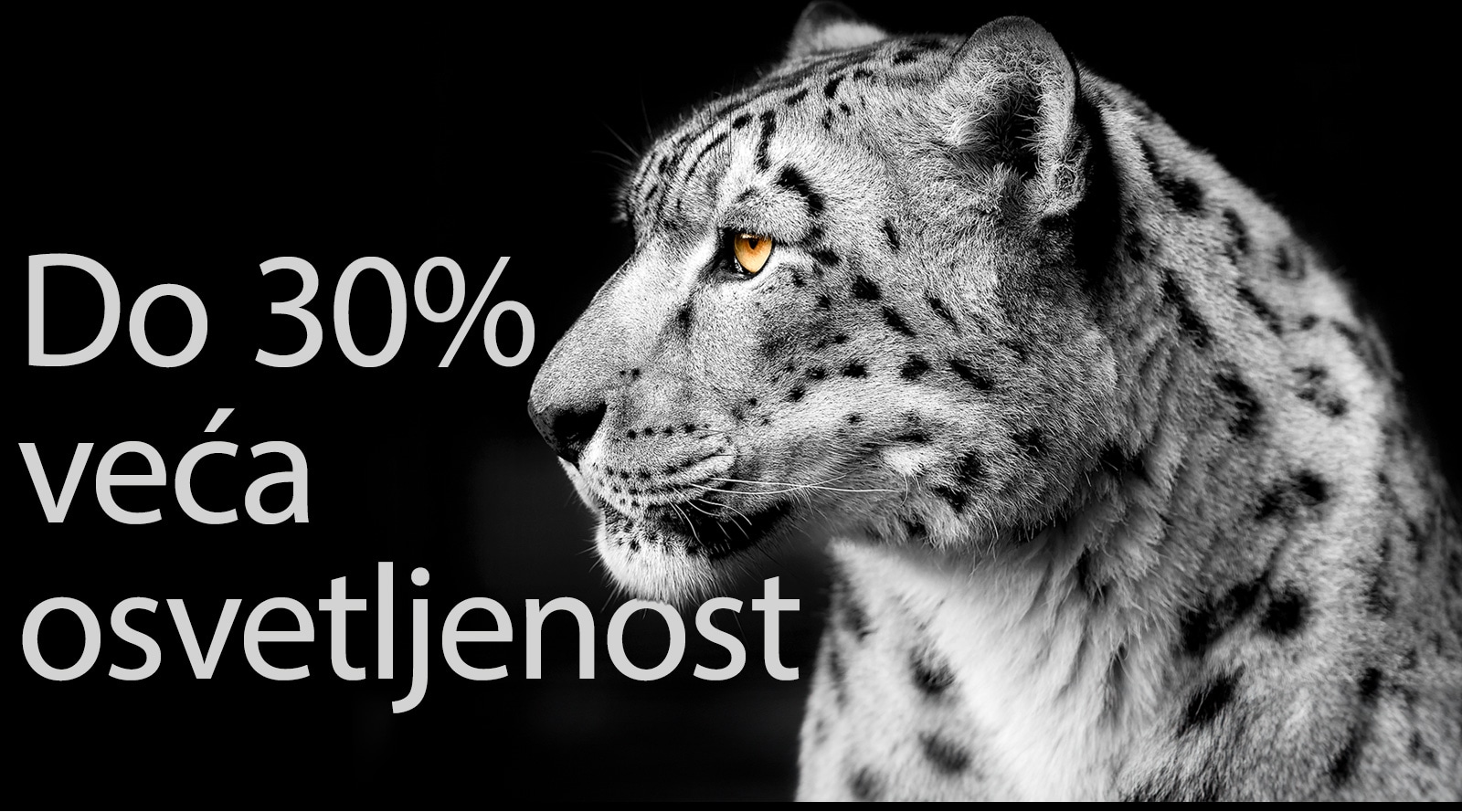 Profil belog leoparda sa leve strane slike. Reči „Do 30% veća osvetljenost“ prikazuju se sa leve strane.