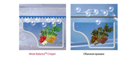 Отделение для овощей и фруктов Moist Balance Crisper