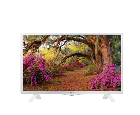 LG Современный Smart TV телевизор. Поддерживает WiFi подключение., 28LF498U