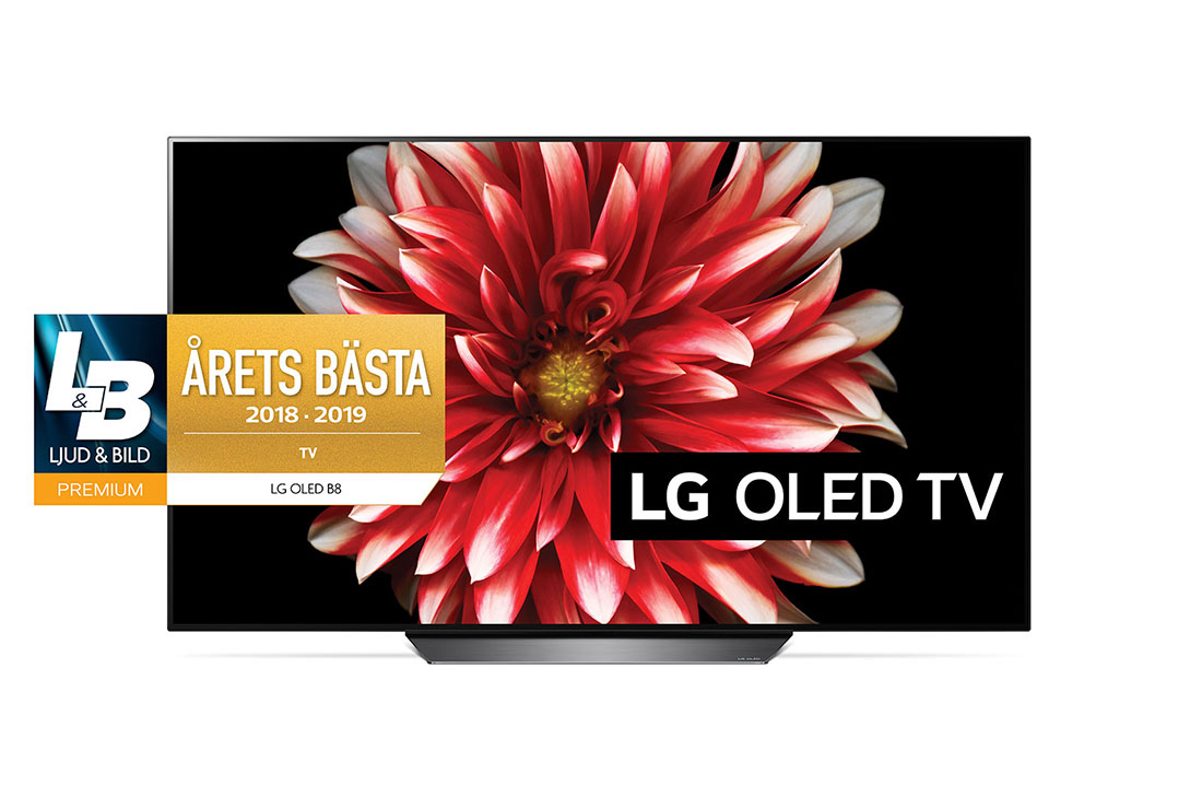 LG OLED 4K TV - 55'', OLED55B8PLA