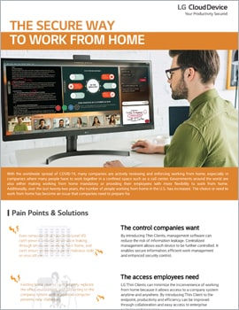 One Page  The Secure Way to Work from Home