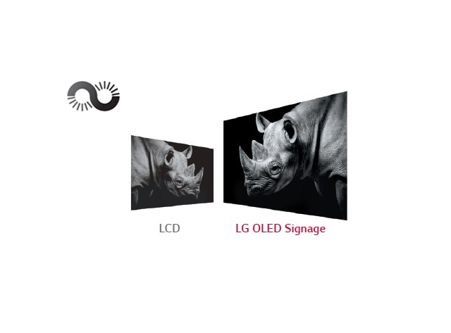 LG 55EJ5C-B 55 Wallpaper OLED Digital Signage Display- LG | Enter Computers
