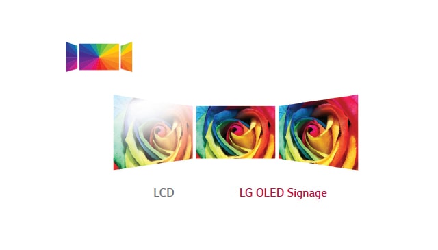 LG 55EJ5C-B 55 Wallpaper OLED Digital Signage Display - LG | Enter Computers