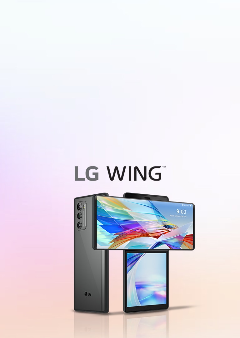 LG Wing