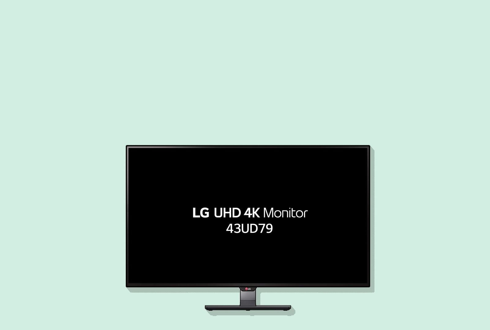 LG 4K UHD Monitor