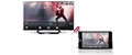 Dual Play