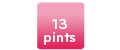Bucket Size 13 pints