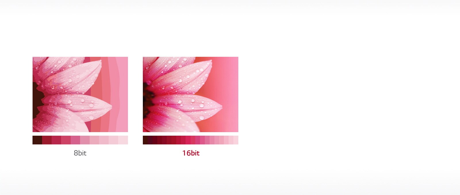 ID_IndoorLEDSignage_02_1461224598552