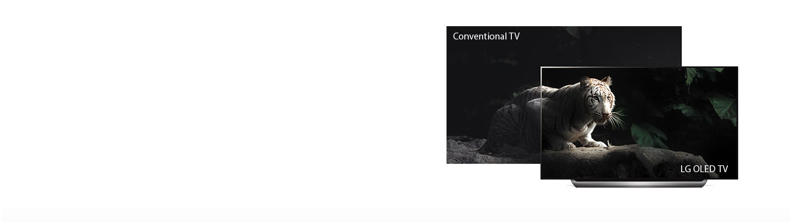 Perfect Black. Intense Color1