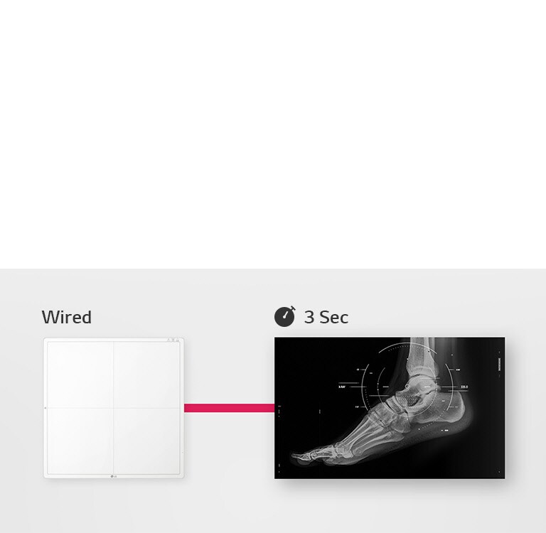 Rapid Image Availability2