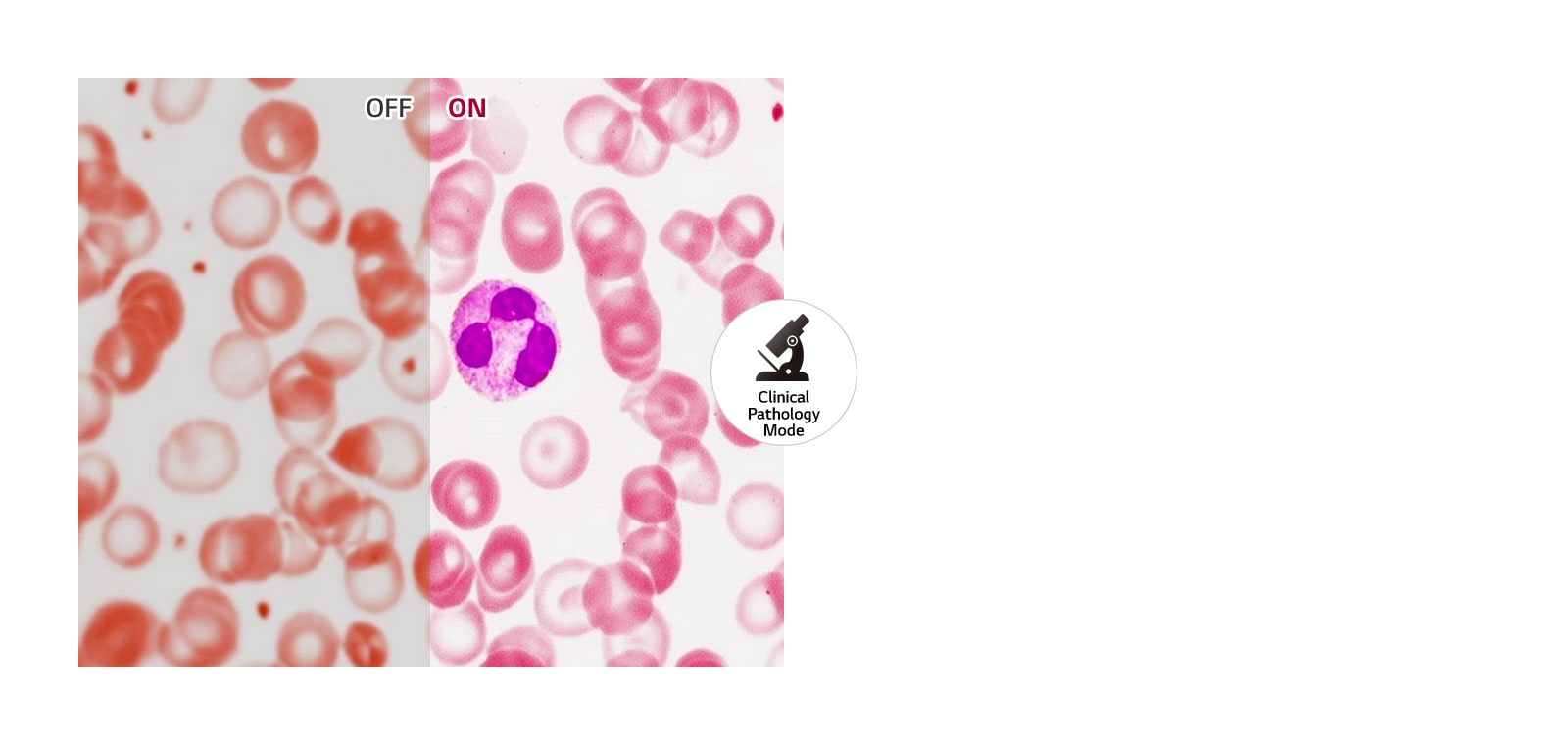 Realistic Color Reproduction1