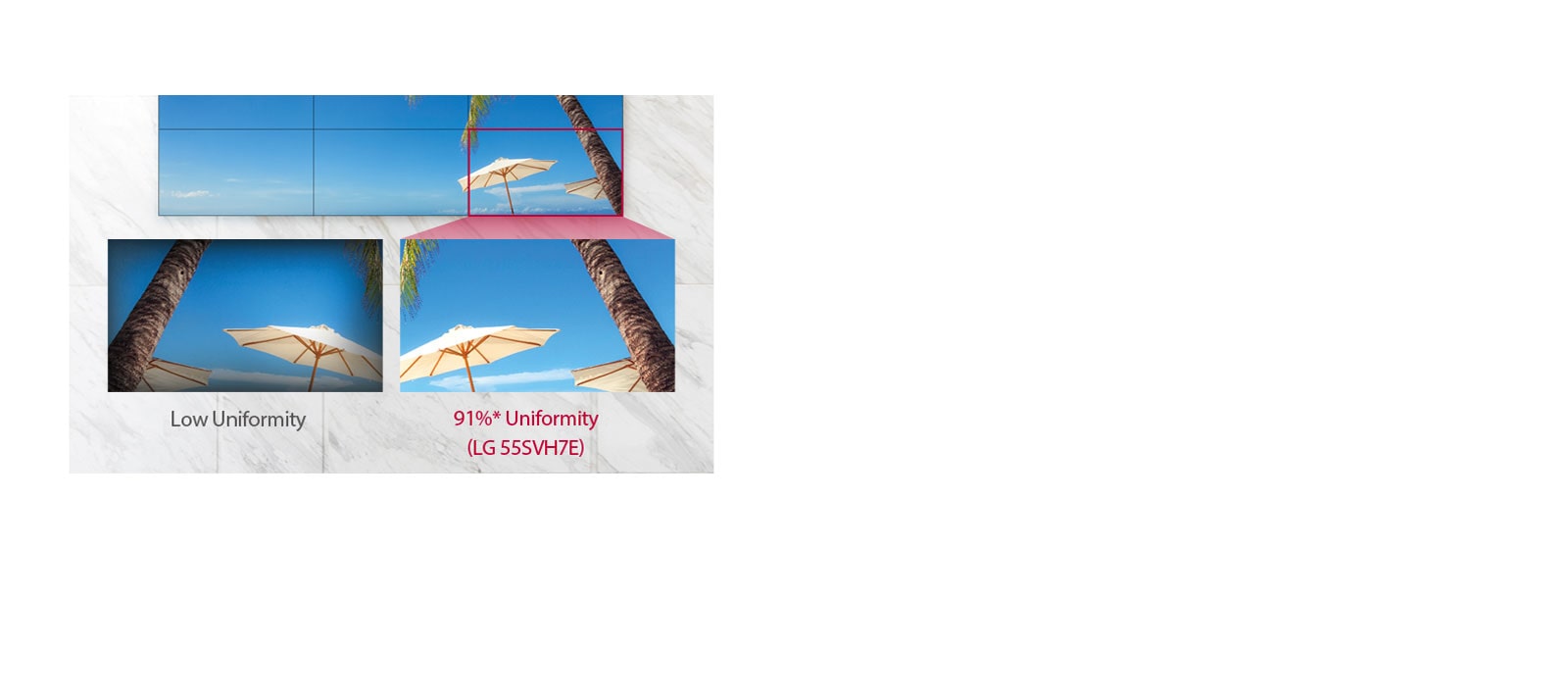 Uniform Color Expression1