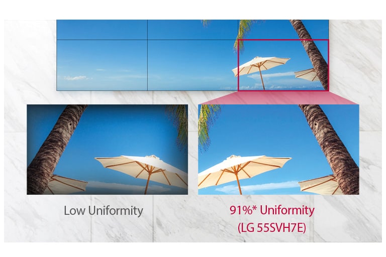 Uniform Color Expression2