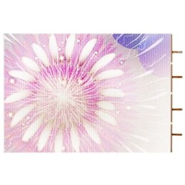 Color Transparent LED Film2