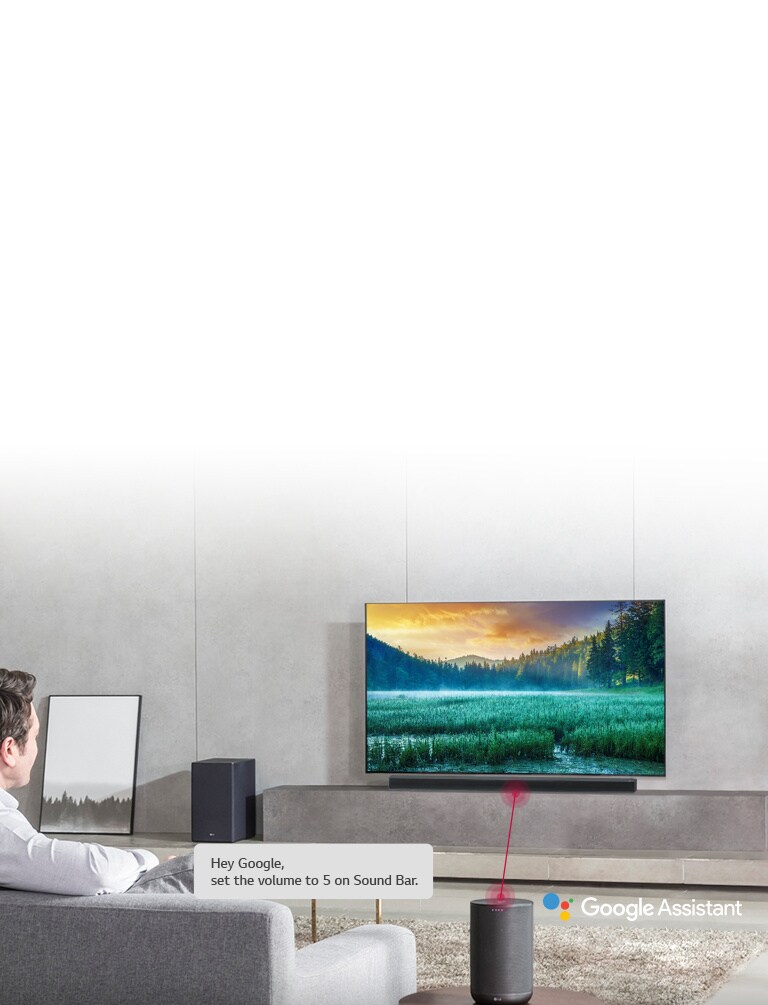 Works with the Google Assistant<br>2