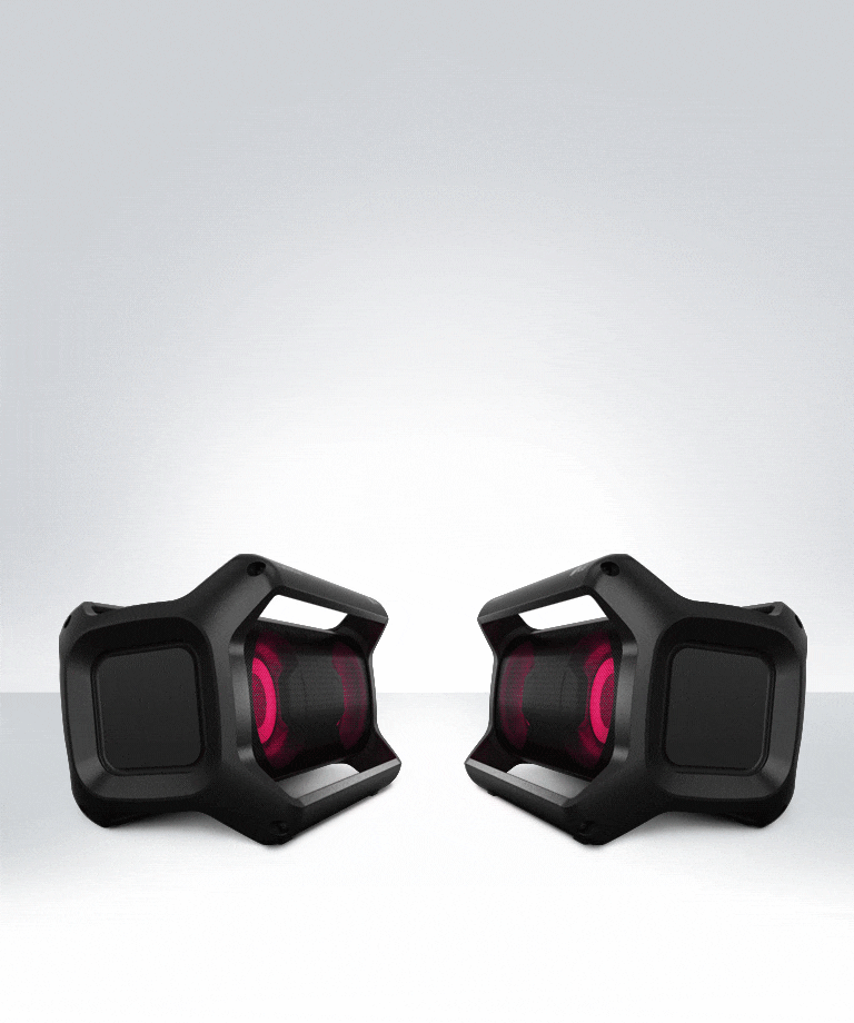 Powerful Dual Action Bass2