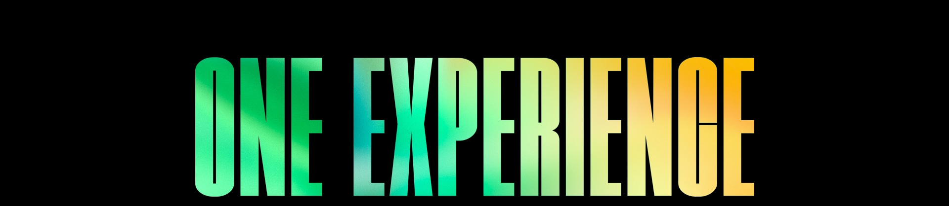 The words 'ONE EXPERIENCE' in a green and yellow  gradient pattern.