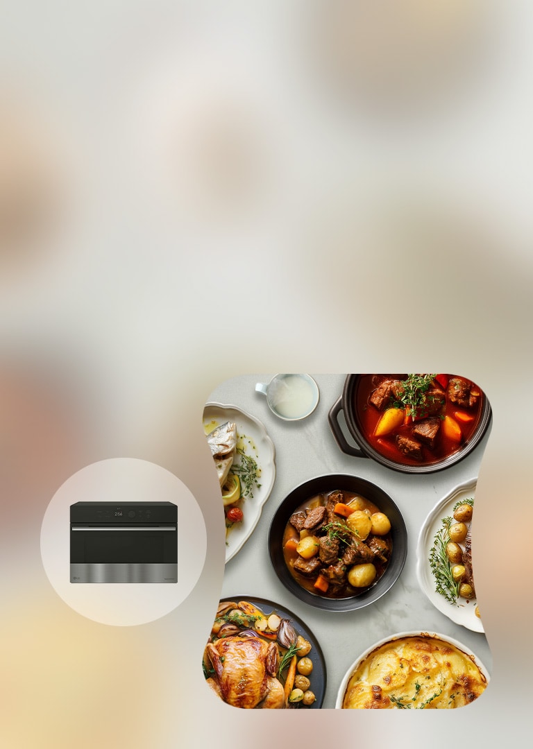 Image of a dishes like meat, goulash, whole chicken beside LG SolarDOM