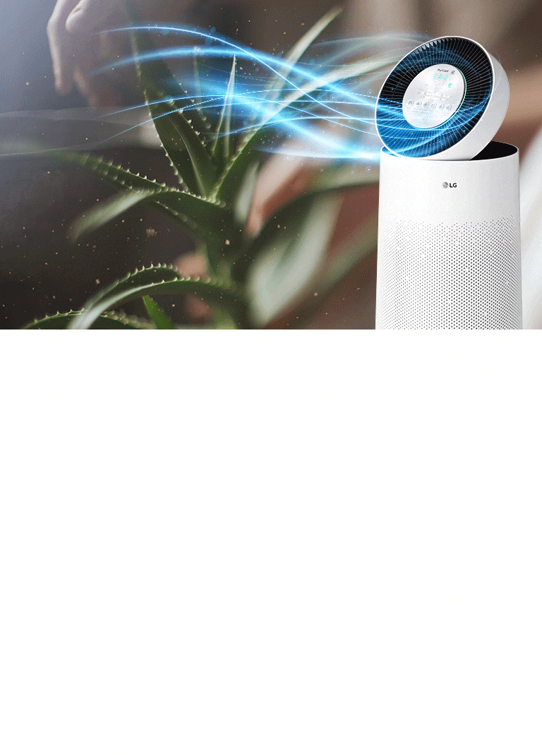 Fresh Air All Over Your Home2