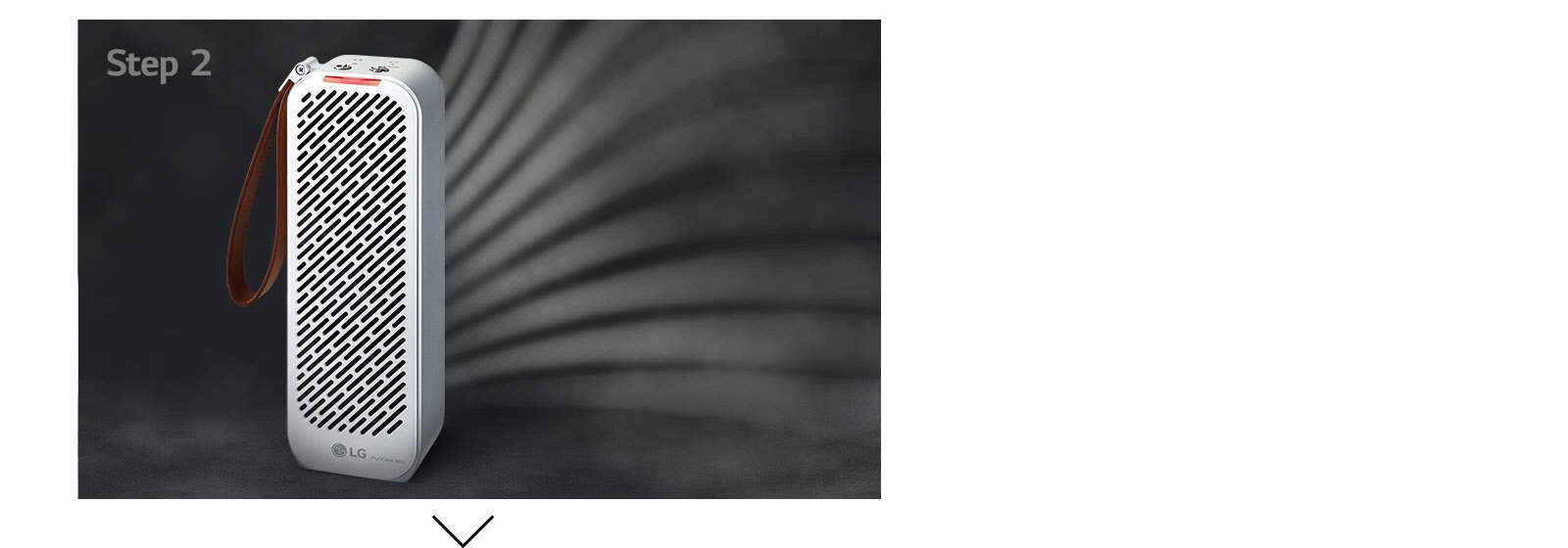 Dual Inverter Motor1