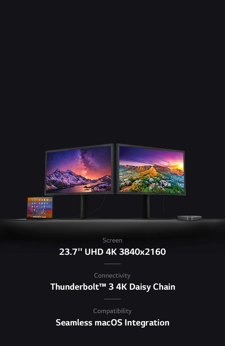 LG 24 Inch UltraFine 4K UHD IPS Monitor with macOS Compatibility LG UAE