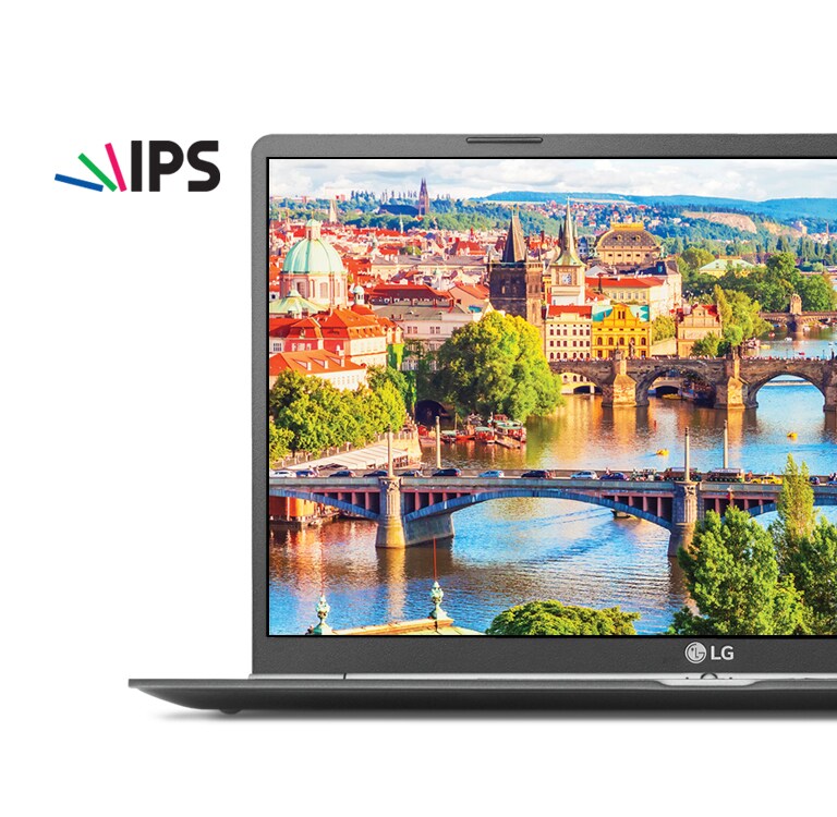 Realistic, Accurate Color with IPS Display<br>2