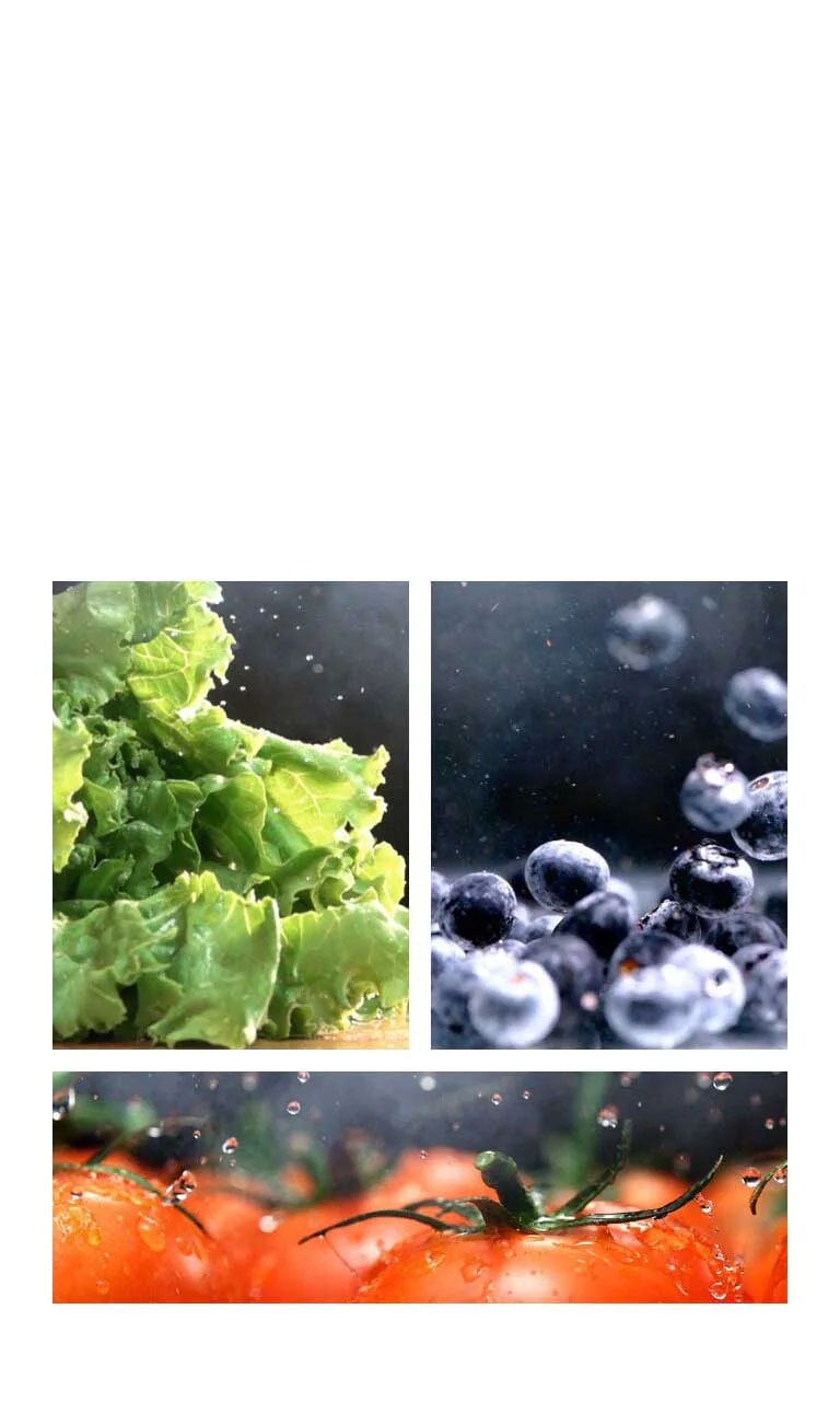 Seals in Farm Freshness Longer