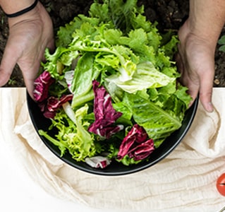 Hands holding a bowl filled with fresh vegetables on a table.